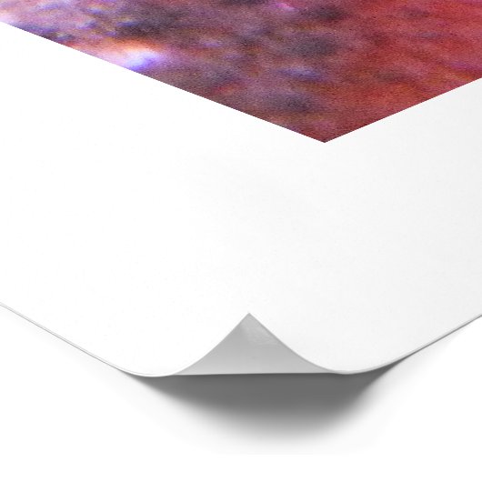 Nahes Up of a Spider crab Poster (Ecke)