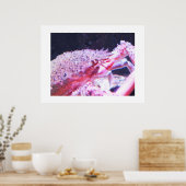 Nahes Up of a Spider crab Poster (Küche)