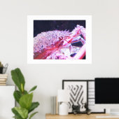 Nahes Up of a Spider crab Poster (Heimbüro)