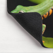 Nahes Up of a Tiger Leg Monkey Tree Frog Mousepad (Ecke)