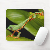 Nahes Up of a Tiger Leg Monkey Tree Frog Mousepad (Mit Mouse)