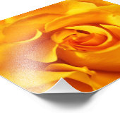 Nahes Up of a Yellow Rose Fotodruck (Ecke)