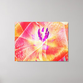 Nahes up of Red Tulip Abstrakt Leinwanddruck