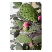 Nahes Up von Kakteen Magnet (Vertikal)