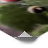 Nahes Up von Kakteen Poster (Ecke)