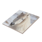 Nahes, weißes isländisches Pferd Fliese (Seite)