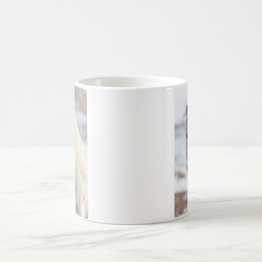 Nahes, weißes isländisches Pferd Kaffeetasse (Mittel)