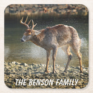 Nahes Wildtier Rechteckiger Pappuntersetzer