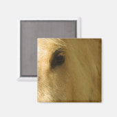 Nahkampf Magnet (Vorderseite/Rückseite)