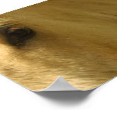 Nahkampf Poster (Ecke)