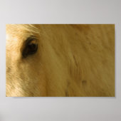 Nahkampf Poster (Vorne)