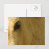 Nahkampf Postkarte (Vorne/Hinten)