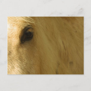 Nahkampf Postkarte