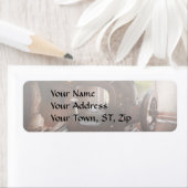 Nähmaschine - Leder - Sattelabsauger (Insitu)