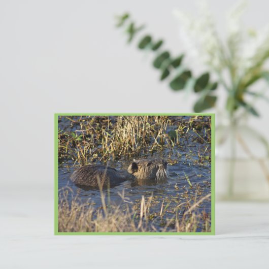 Nährstoffe in Wasser Postkarte (Stehend Vorderseite)