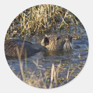 Nährstoffe in Wasser Runder Aufkleber