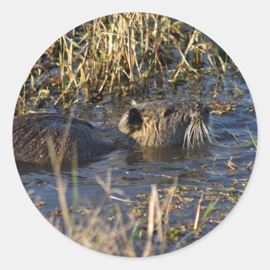 Nährstoffe in Wasser Runder Aufkleber (Vorderseite)