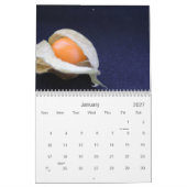 Nahrung + Fotografie 2010 Kalender (Jan 2027)