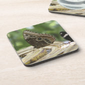 Nahrung für Schmetterlinge Untersetzer (Linke Seite)