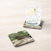 Nahrung für Schmetterlinge Untersetzer (Rechte Seite)