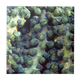 Nahrungskette Fliese