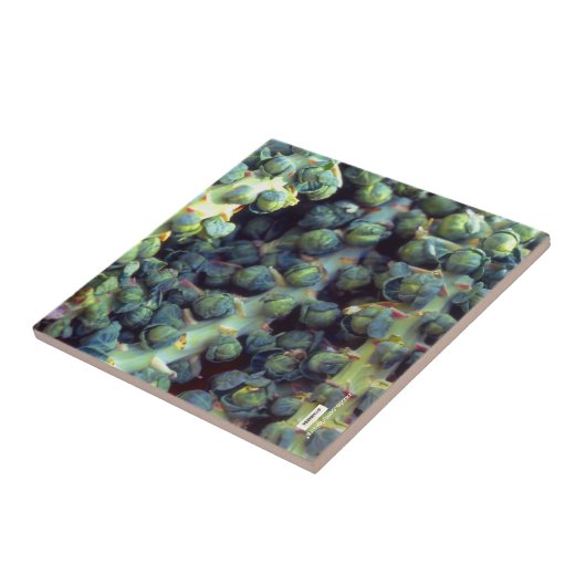 Nahrungskette Fliese (Seite)