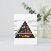 Nahrungspyramide Postkarte (Stehend Vorderseite)