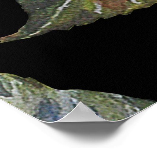 Nahtlose Blumenmuster Sonnenblumen auf schwarzem R Poster (Ecke)