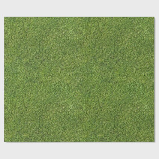Nahtloses Gras-Effekt-Packpapier Geschenkpapier (Flach)