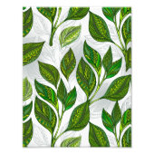 Nahtloses Muster mit Blätter aus grünem Tee Fotodruck (Vorne)