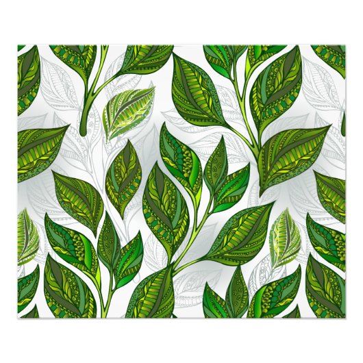 Nahtloses Muster mit Blätter aus grünem Tee Fotodruck (Vorne)