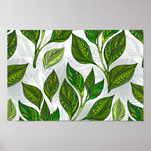 Nahtloses Muster mit Blätter aus grünem Tee Poster