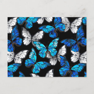 Nahtloses Muster mit blauen Schmetterlingen Morpho Feiertagspostkarte