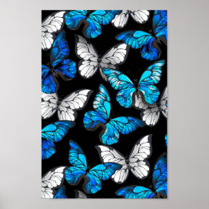 Nahtloses Muster mit blauen Schmetterlingen Morpho Poster