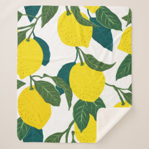 Nahtloses Zitrusmuster. Vintage Keule Sherpadecke