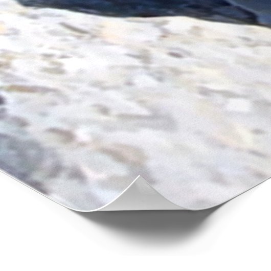 NAIL-Muscheln Poster (Ecke)