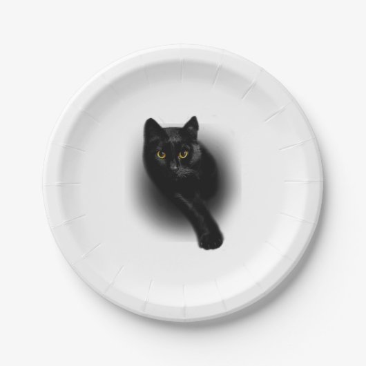 Nails zum Filtern von schwarzen Katzen Pappteller (Vorderseite)