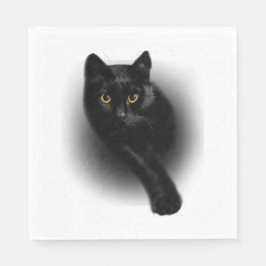 Nails zum Filtern von schwarzen Katzen Serviette (Vorderseite)