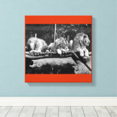 Nairobi Lions - B&W Leinwanddruck (Insitu (Holzboden))