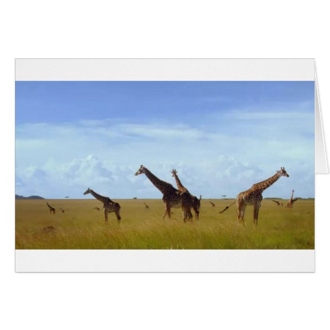 Nairobi-Nationalpark Giraffen (Vorderseite (Horizontal))