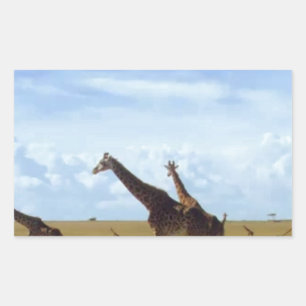 Nairobi-Nationalpark Giraffen Rechteckiger Aufkleber