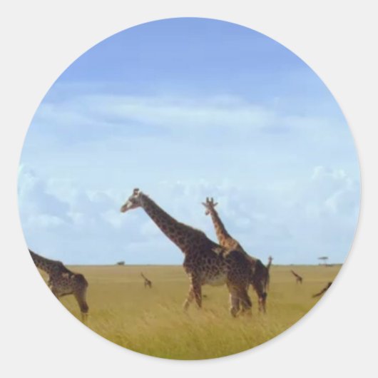Nairobi-Nationalpark Giraffen Runder Aufkleber (Vorderseite)