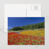 Nakafurano, Sorachi, Hokkaido, Japan Postkarte (Vorne/Hinten)