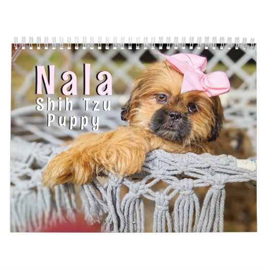 Nala Shih Tzu Cutest Puppy  Kalender (Titelbild)