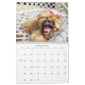 Nala Shih Tzu Cutest Puppy  Kalender (Mär 2026)