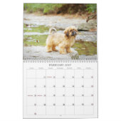 Nala Shih Tzu Süßestes Hündchen Kalender (Feb 2027)