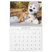Nala Shih Tzu Süßestes Hündchen Kalender (Jan 2027)