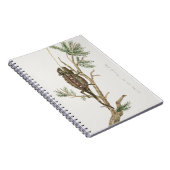 Namaqua chameleon Lizard Reptile Gecko Notizblock (Rechte Seite)