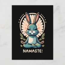 Namaste Bunny Yoga Kaninchen Meditation