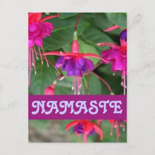 NAMASTE fuschia Postkarte